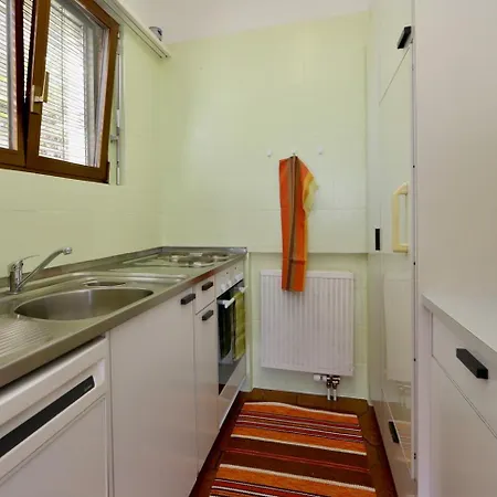 C06 Apartment Orselina